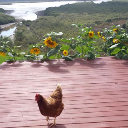 Taranaki Otel Waihaha Dış mekan fotoğraf