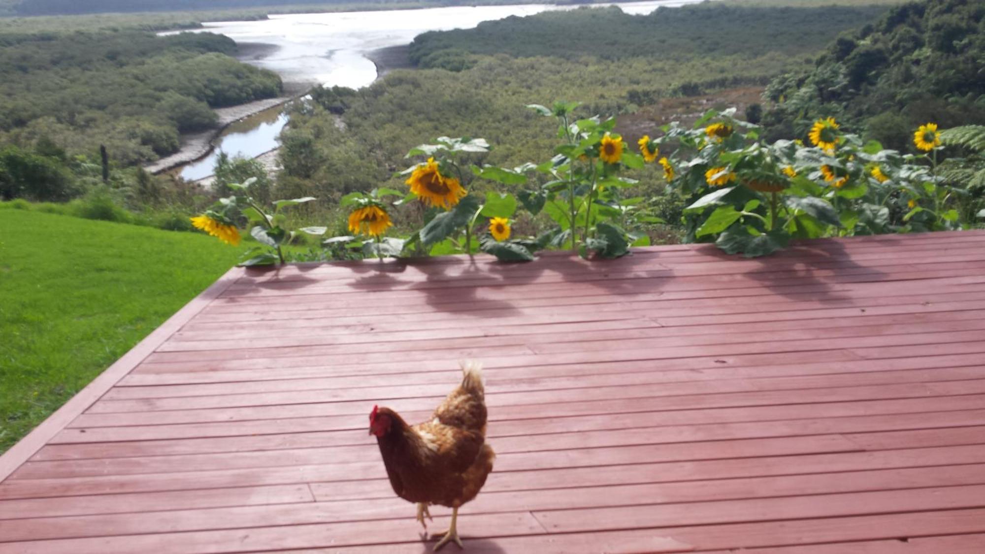 Taranaki Otel Waihaha Dış mekan fotoğraf